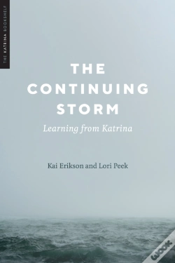 Capa do artigo The Continuing Storm