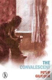 Capa do artigo The Convalescent