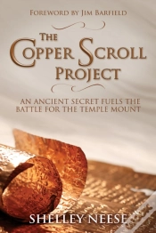 Capa do artigo The Copper Scroll Project