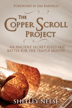 Capa do artigo The Copper Scroll Project