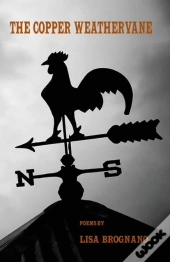 The Copper Weathervane