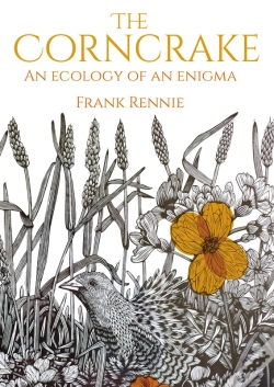Capa do artigo The Corncrake