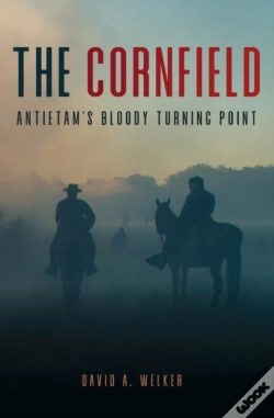 Capa do artigo The Cornfield