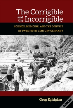 Capa do artigo The Corrigible And The Incorrigible
