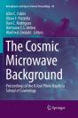 The Cosmic Microwave Background - Preview