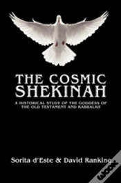 Capa do artigo The Cosmic Shekinah