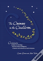 The Cosmos In The Cauldron