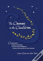 Capa do artigo The Cosmos In The Cauldron