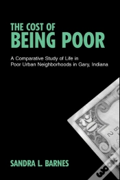 Capa do artigo The Cost Of Being Poor