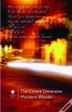 Capa do artigo The Cotard Dimension