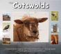 The Cotswolds - Preview