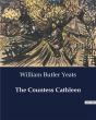 The Countess Cathleen - Preview