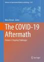 The Covid-19 Aftermath - Preview