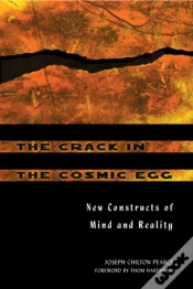 Capa do artigo The Crack In The Cosmic Egg