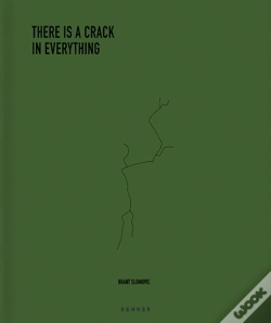 Capa do artigo The Cracks In Everything