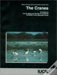 The Cranes