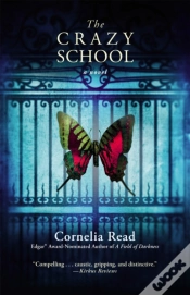 Capa do artigo The Crazy School