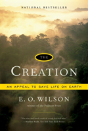 The Creation - Preview