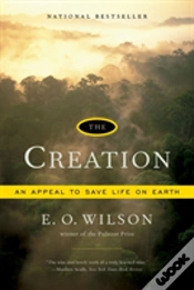 Capa do artigo The Creation