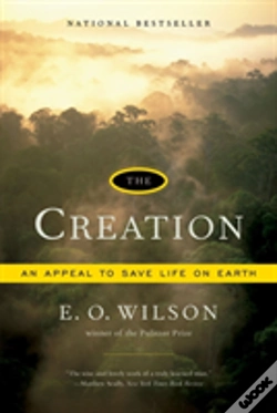 Capa do artigo The Creation