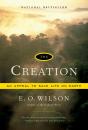 The Creation - Preview