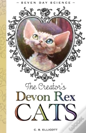 The Creator'S Devon Rex Cats