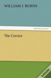 Capa do artigo The Crevice