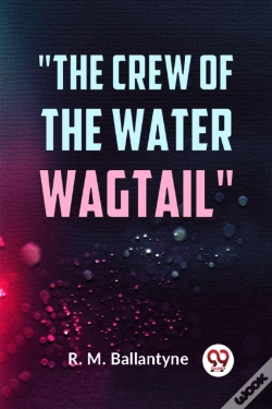 Capa do artigo The Crew Of The Water Wagtail (Edition2023)