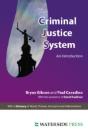 The Criminal Justice System - Preview