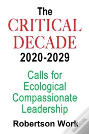 Capa do artigo The Critical Decade 2020 - 2029