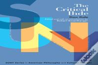 The Critical Ihde