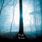 The crone - Vinil - Preview