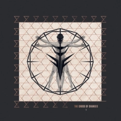 Capa do artigo The Cross of Changes - Vinil
