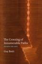 The Crossing Of Innumerable Paths - Preview
