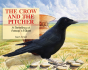 The Crow And The Pitcher - Preview