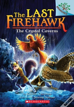 Capa do artigo The Crystal Caverns: A Branches Book (The Last Firehawk #2)