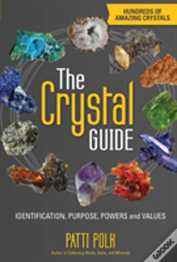 Capa do artigo The Crystal Guide