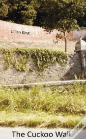 Capa do artigo The Cuckoo Wall