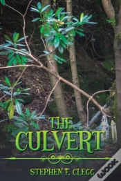 Capa do artigo The Culvert
