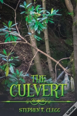 Capa do artigo The Culvert