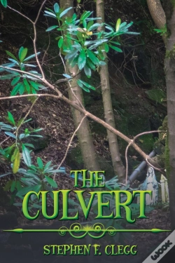 Capa do artigo The Culvert