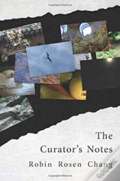 Capa do artigo The Curator