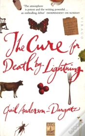 Capa do artigo The Cure For Death By Lightning