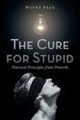 The Cure For Stupid: Practical Principle - Preview
