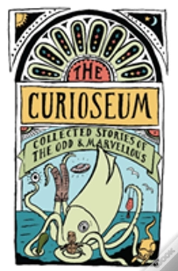 Capa do artigo The Curioseum