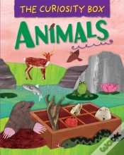 Capa do artigo The Curiosity Box: Animals