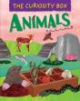 The Curiosity Box: Animals - Preview