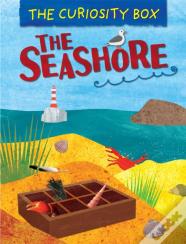 The Curiosity Box: The Seashore