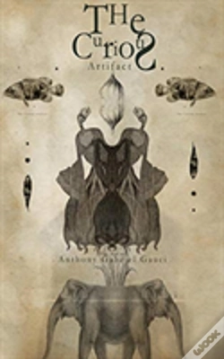 Capa do artigo The Curious Artifact
