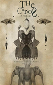 The Curious Artifact